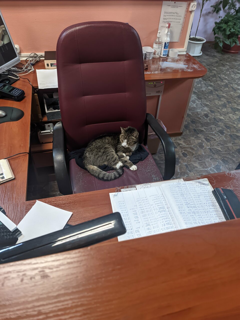 Гостиница Надежда Надым-91