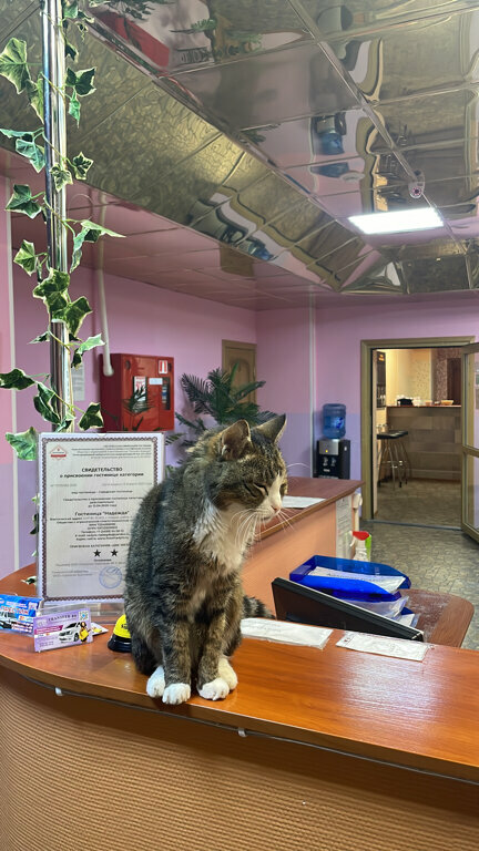 Гостиница Надежда Надым