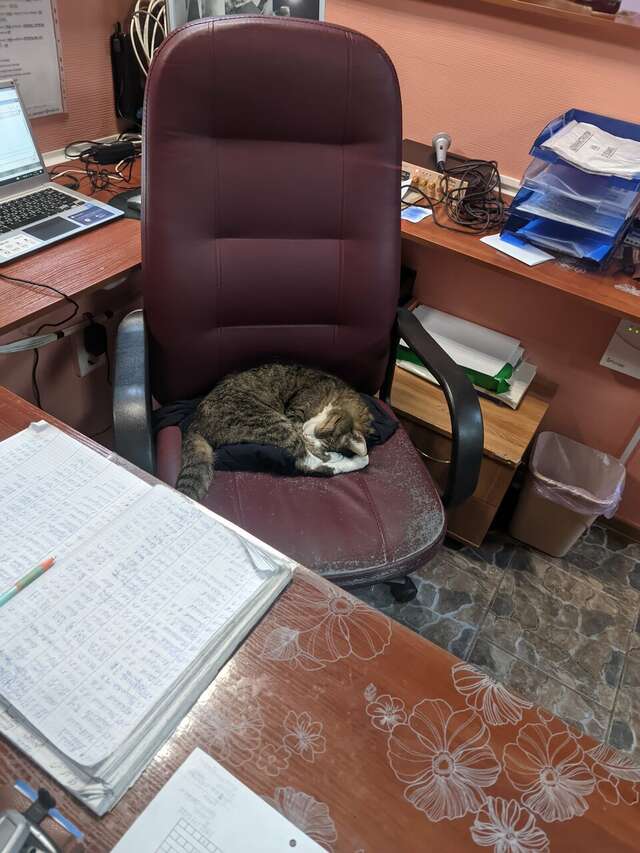 Гостиница Надежда Надым-108