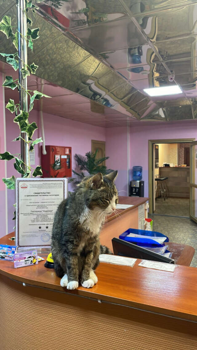 Гостиница Надежда Надым-88